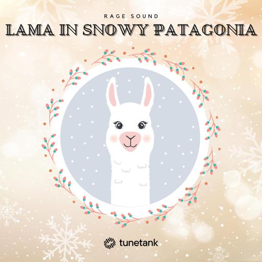 Lama in Snowy Patagonia