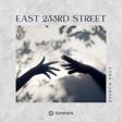 East 233rd Street by AndyWarner