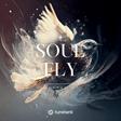 Soul Fly by Squares MP